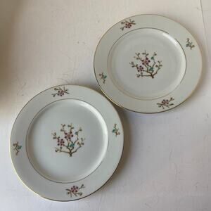 Narumi China Japan Salad Plates (2) Early Spring Round Gold Trim Floral Branches